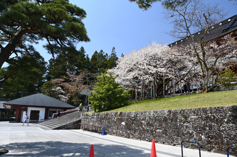 f:id:sabuyan1953:20210420205012j:plain