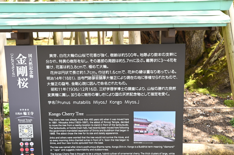 f:id:sabuyan1953:20210420205038j:plain