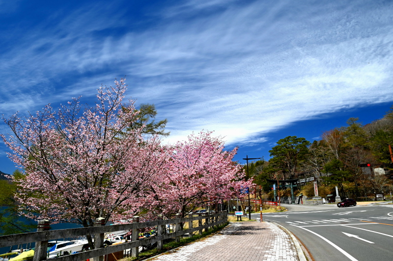 f:id:sabuyan1953:20210507223725j:plain