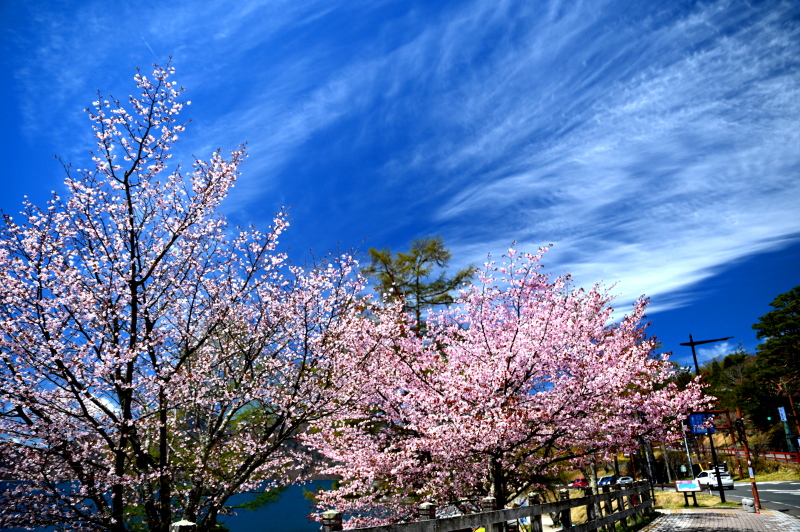 f:id:sabuyan1953:20210507223919j:plain