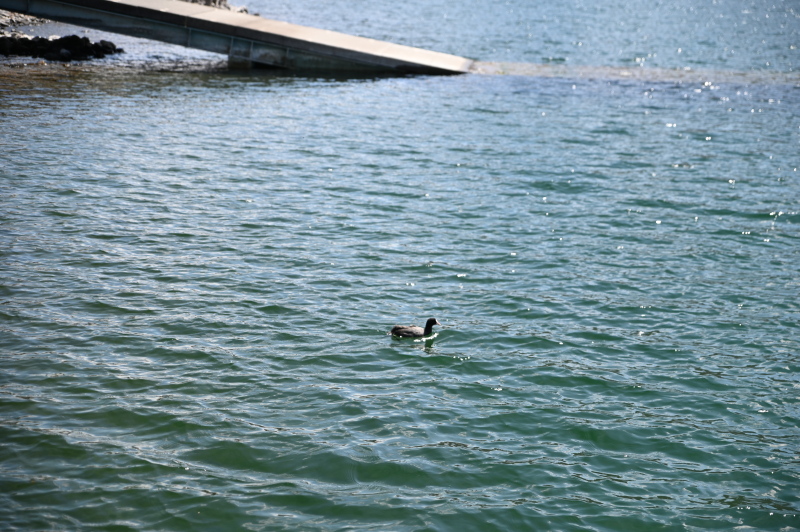 f:id:sabuyan1953:20210507224341j:plain