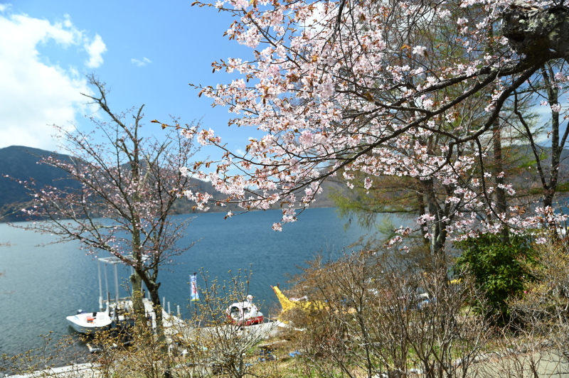 f:id:sabuyan1953:20210507224657j:plain