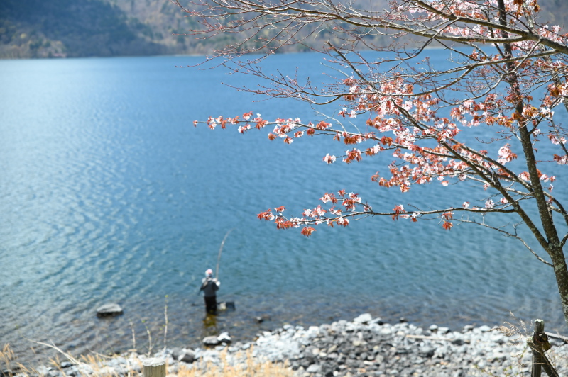 f:id:sabuyan1953:20210508201218j:plain