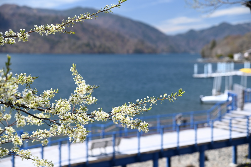 f:id:sabuyan1953:20210508201309j:plain