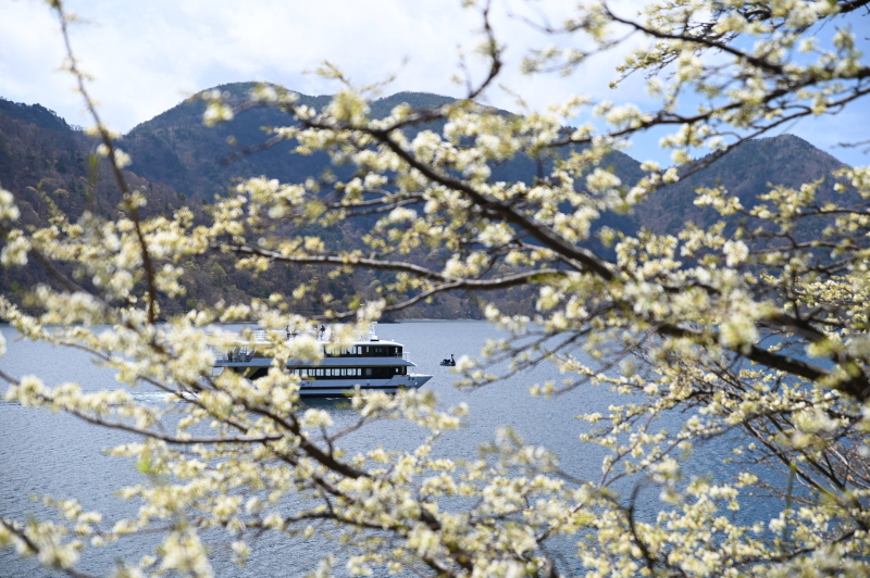 f:id:sabuyan1953:20210508201345j:plain