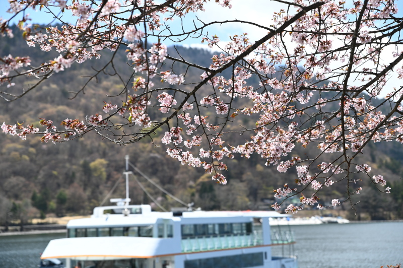 f:id:sabuyan1953:20210508201425j:plain