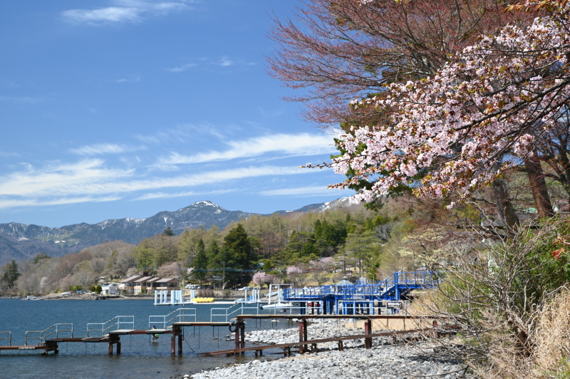 f:id:sabuyan1953:20210508201509j:plain