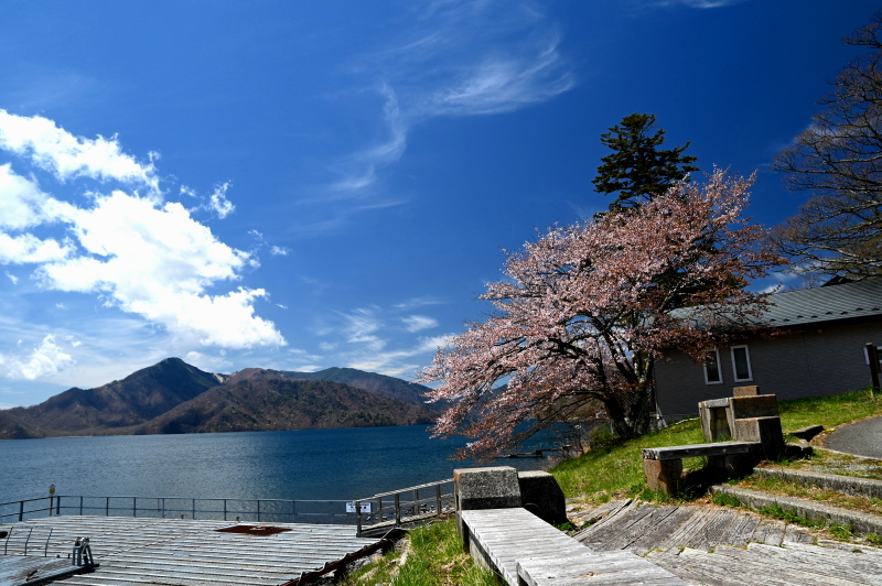 f:id:sabuyan1953:20210508201706j:plain