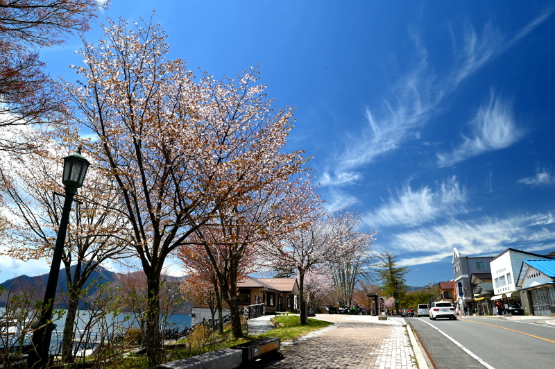 f:id:sabuyan1953:20210508201806j:plain