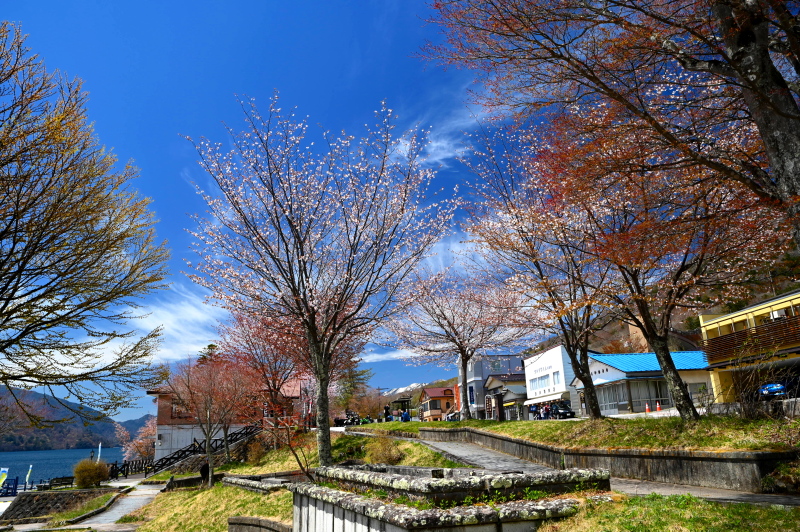 f:id:sabuyan1953:20210508201829j:plain