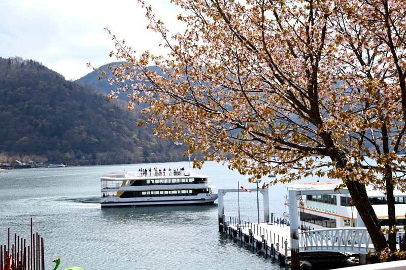 f:id:sabuyan1953:20210508201854j:plain