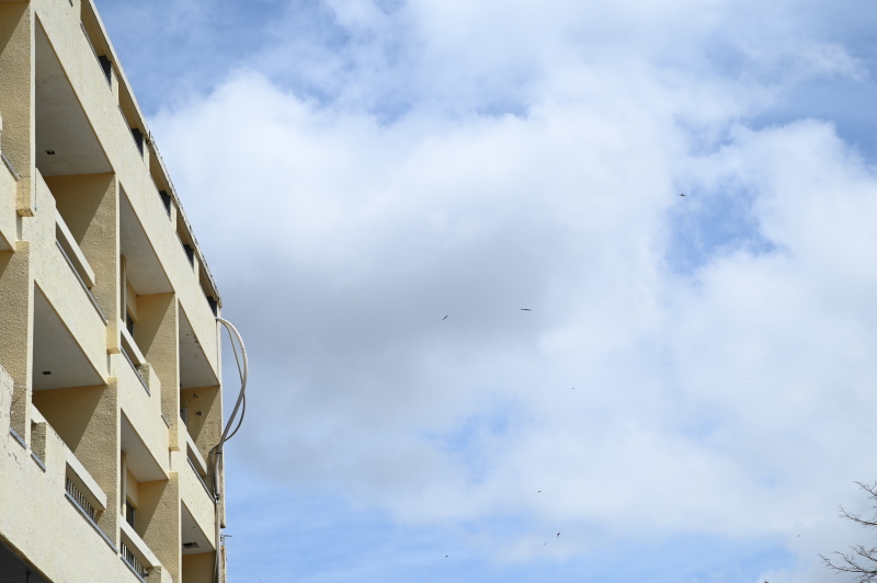 f:id:sabuyan1953:20210508202053j:plain