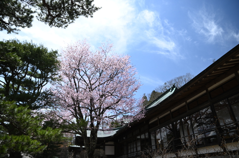 f:id:sabuyan1953:20210508204326j:plain