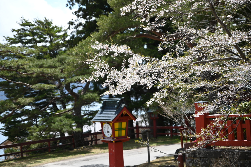 f:id:sabuyan1953:20210508204503j:plain