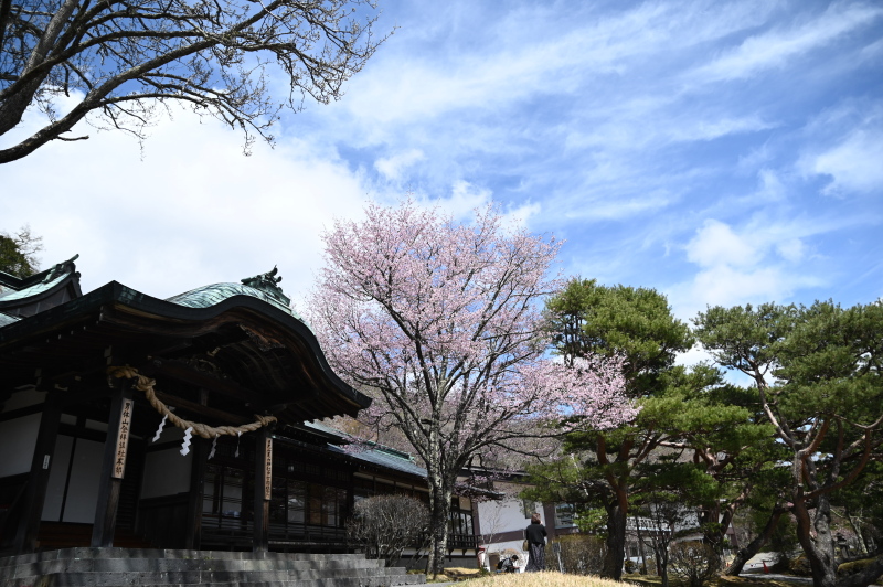 f:id:sabuyan1953:20210508204530j:plain