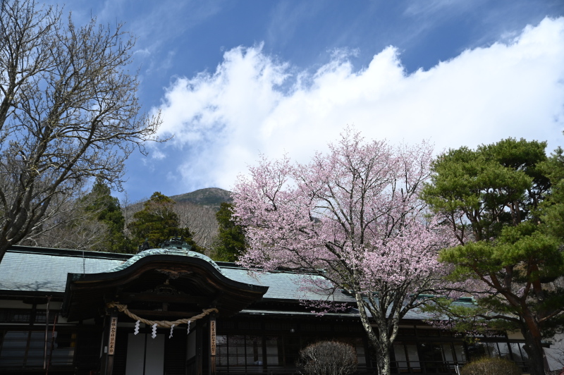 f:id:sabuyan1953:20210508204744j:plain