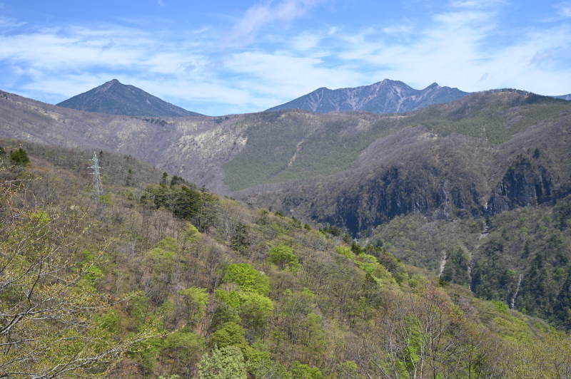 f:id:sabuyan1953:20210509154008j:plain