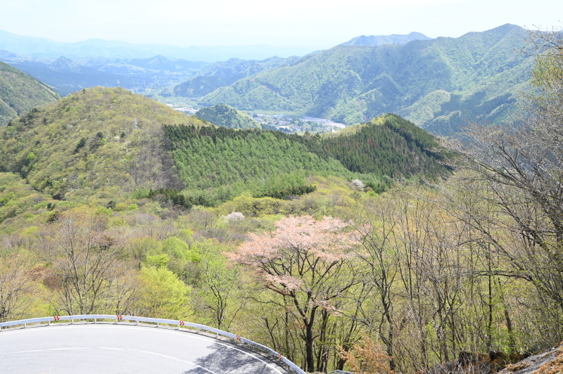 f:id:sabuyan1953:20210509154137j:plain