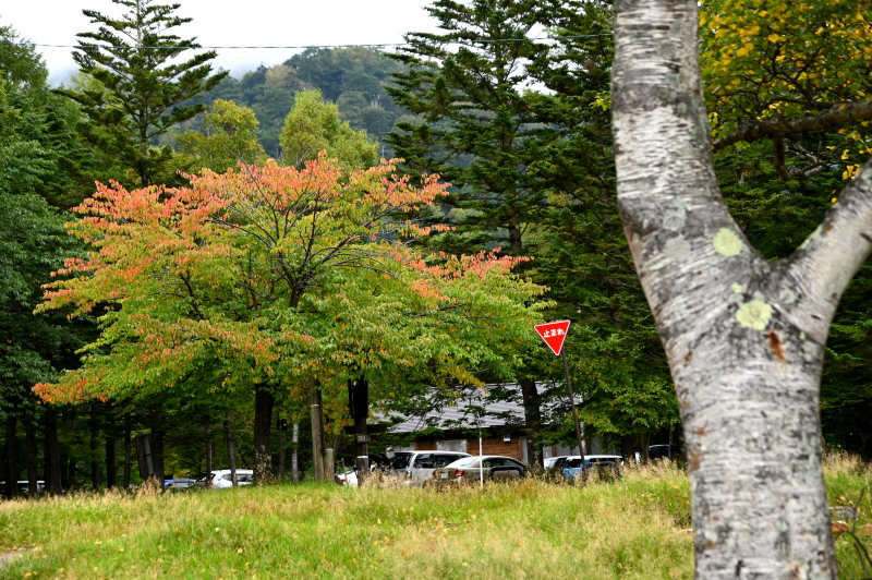 f:id:sabuyan1953:20210917203344j:plain