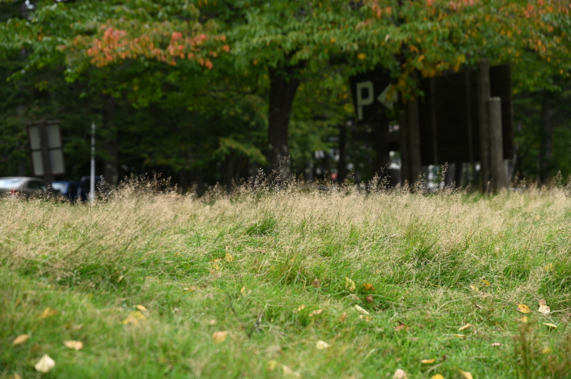 f:id:sabuyan1953:20210917203421j:plain