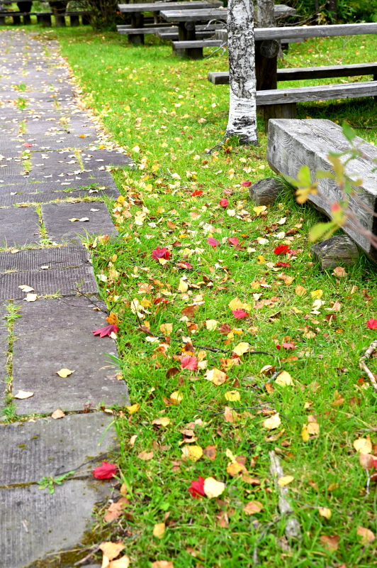 f:id:sabuyan1953:20210917204244j:plain