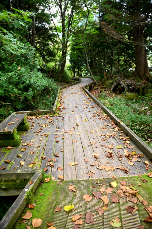 f:id:sabuyan1953:20210917204454j:plain