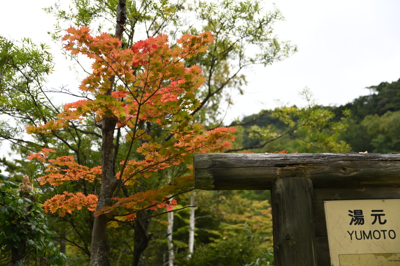 f:id:sabuyan1953:20210917210410j:plain