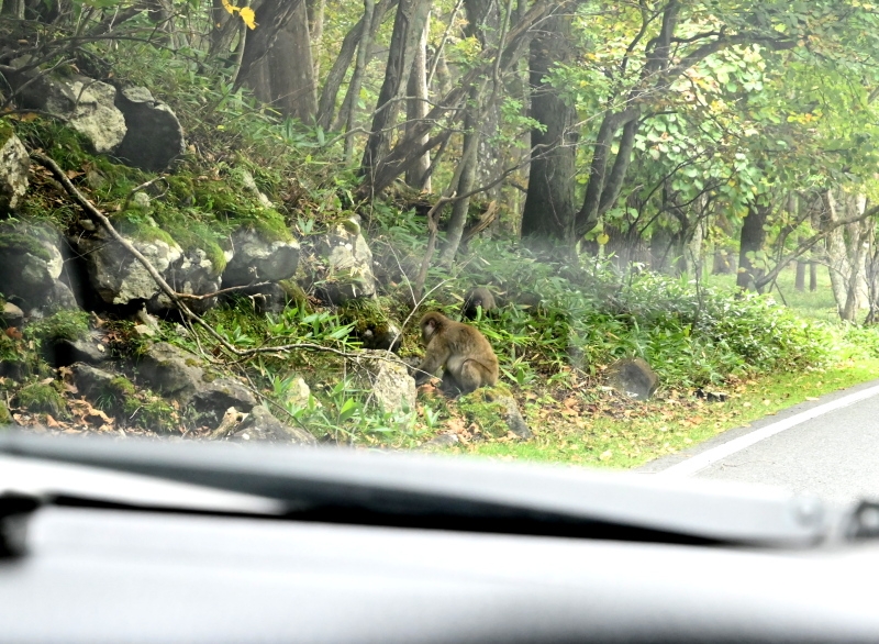 f:id:sabuyan1953:20210917210602j:plain