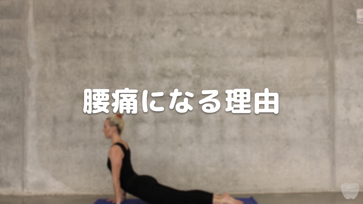 腰痛になる理由 さかつれづれ