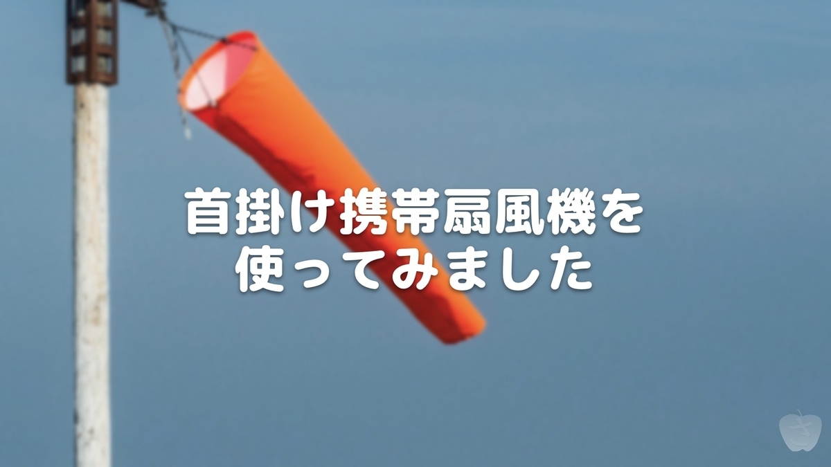 f:id:sacalyo:20200720231312j:plain