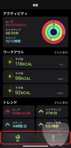 f:id:sacalyo:20201007223202j:plain