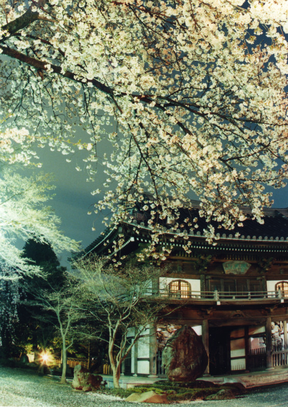 増感