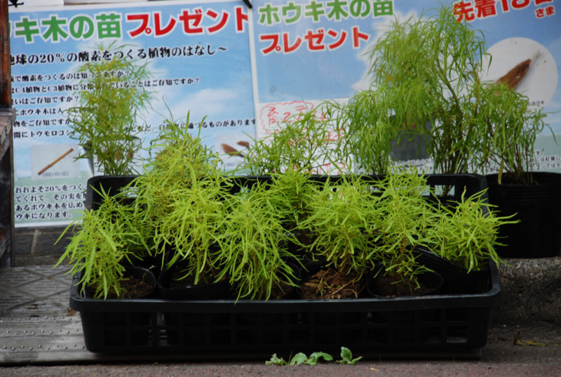 f:id:sacano-hidetoshi_19:20140619205453j:image f:id:sacano-hidetoshi_19:20140619205453j:image