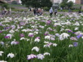 20090622182730