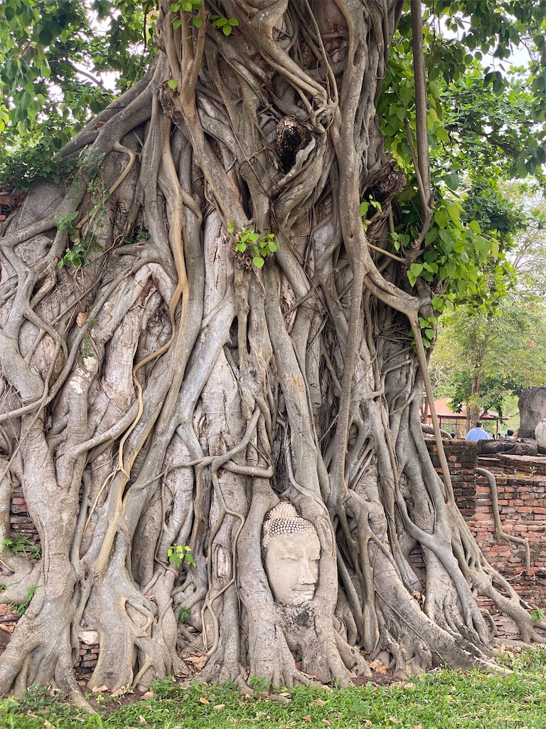 f:id:sachan1009:20250331102801j:image