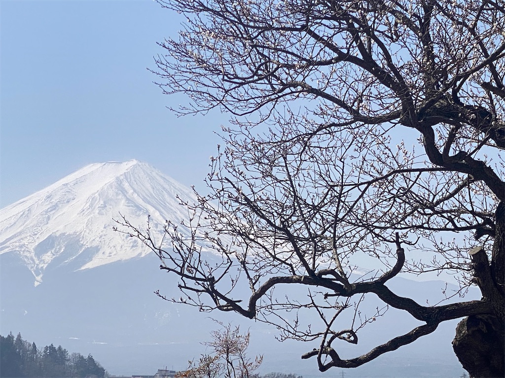 f:id:sachan1009:20250331102816j:image