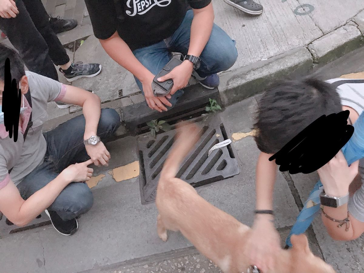 f:id:sachara0425:20190805122604j:plain f:id:sachara0425:20190805122604j:plain
