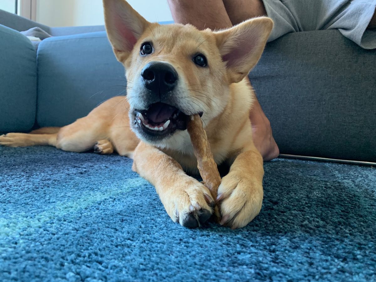 f:id:sachara0425:20191006134756j:plain f:id:sachara0425:20191006134756j:plain