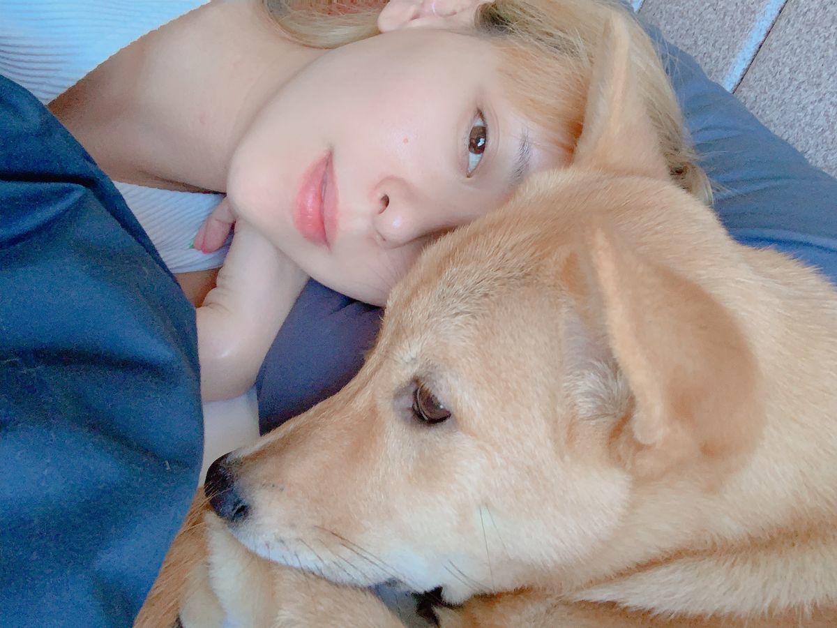 f:id:sachara0425:20191006134823j:plain f:id:sachara0425:20191006134823j:plain