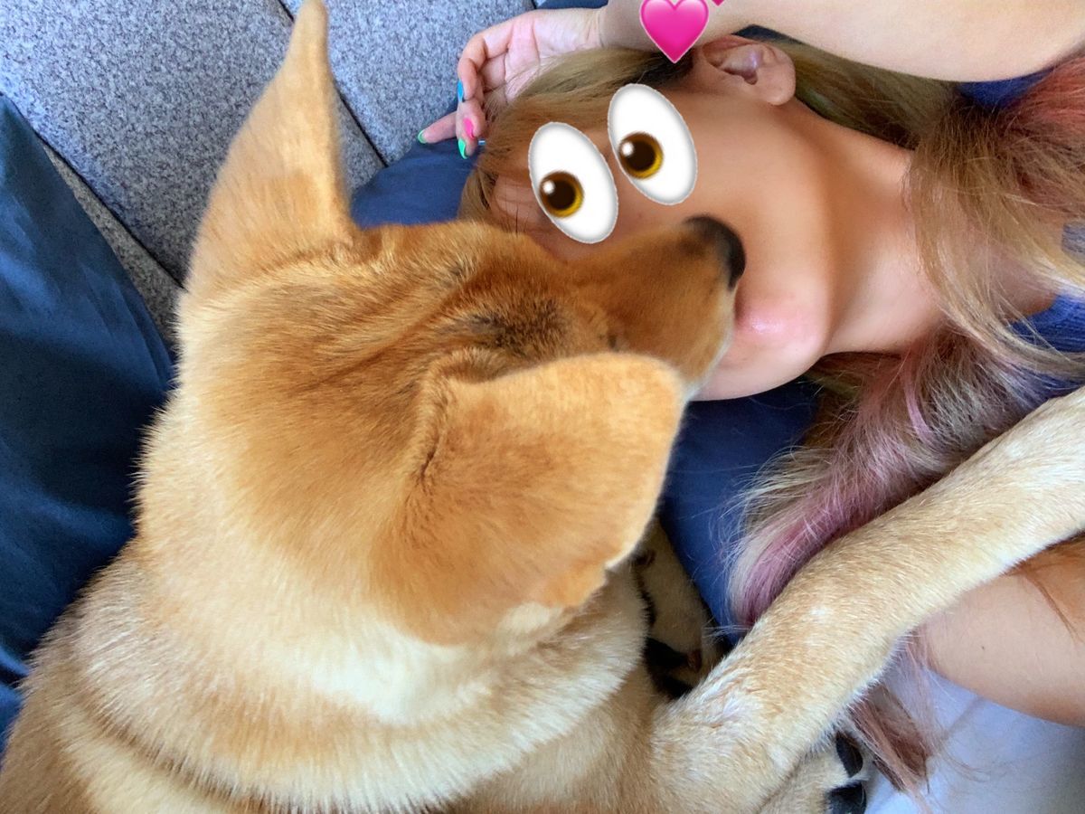 f:id:sachara0425:20191006134830j:plain f:id:sachara0425:20191006134830j:plain