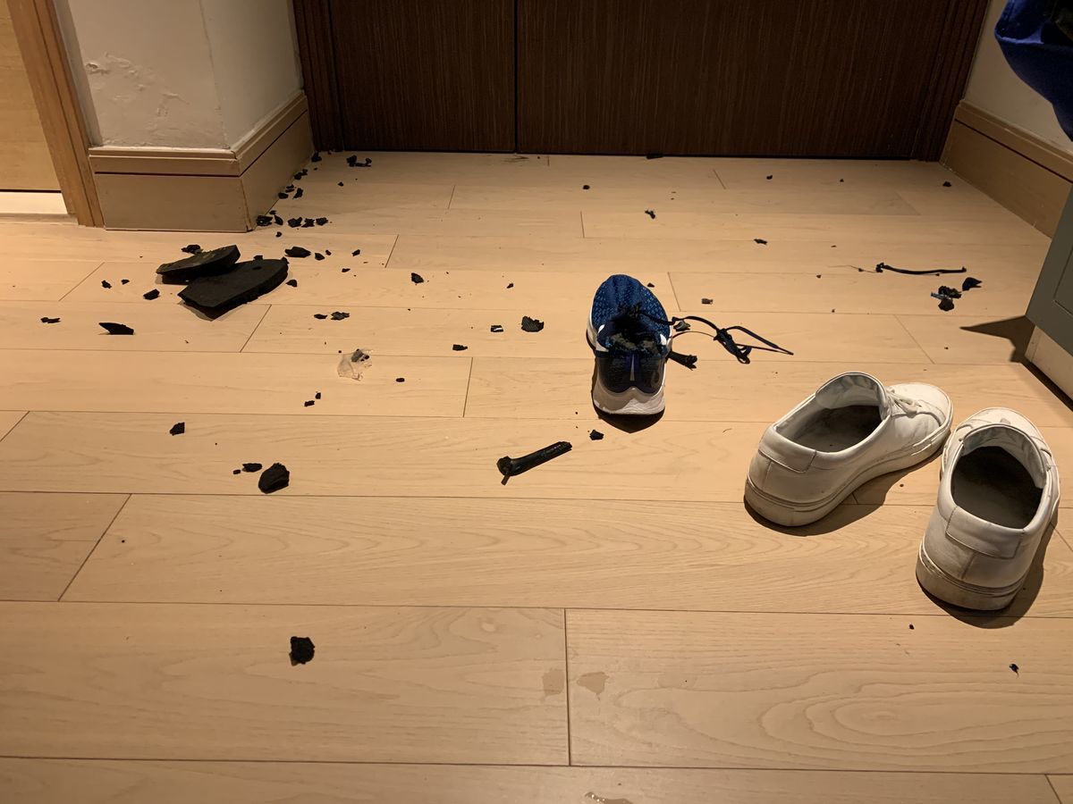 f:id:sachara0425:20191006134847j:plain f:id:sachara0425:20191006134847j:plain