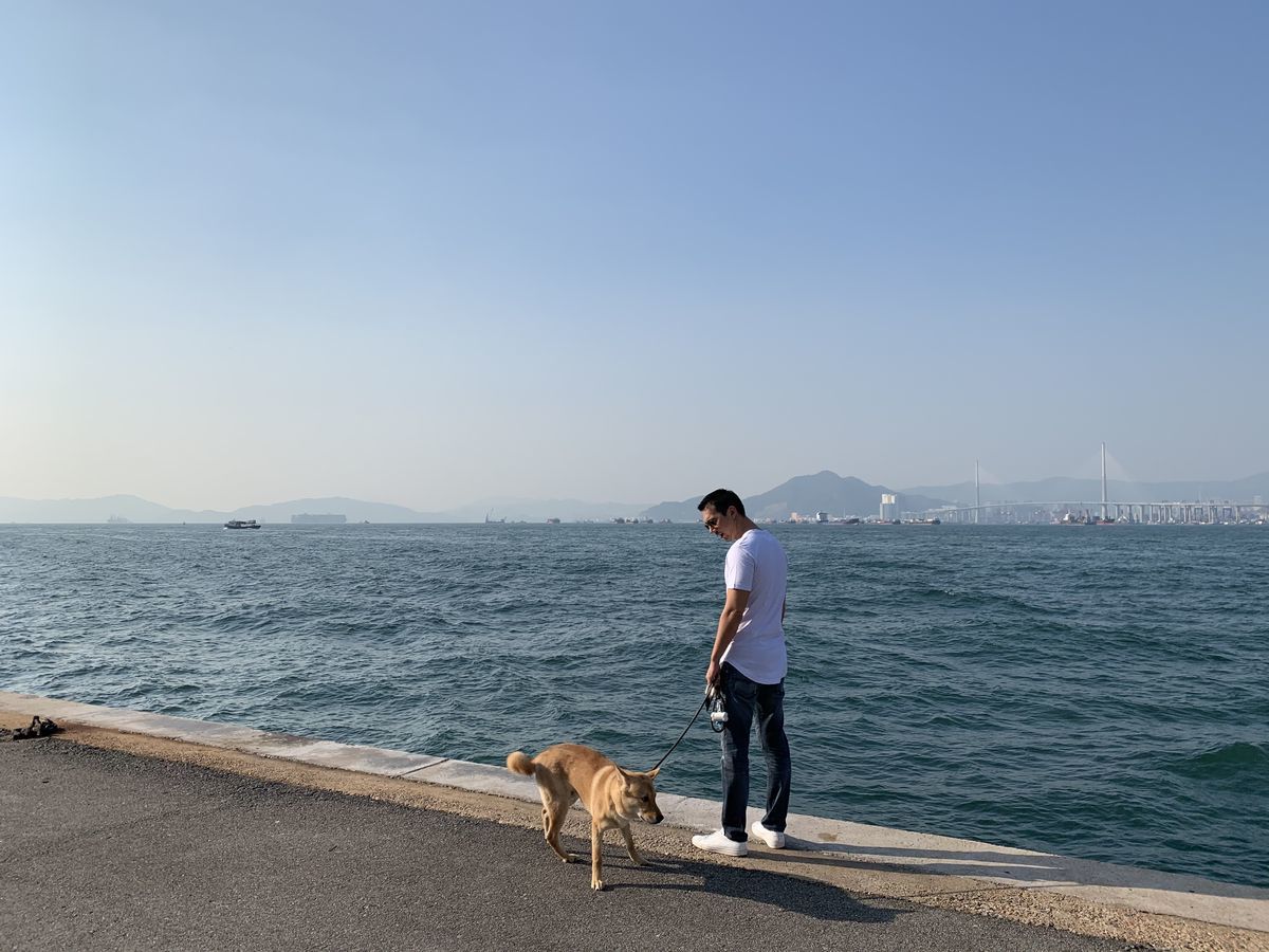 f:id:sachara0425:20191111123421j:plain