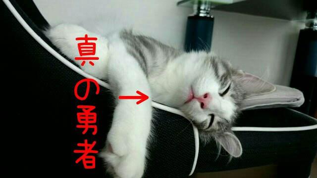 f:id:sachcooky:20170913183422j:plain f:id:sachcooky:20170913183422j:plain