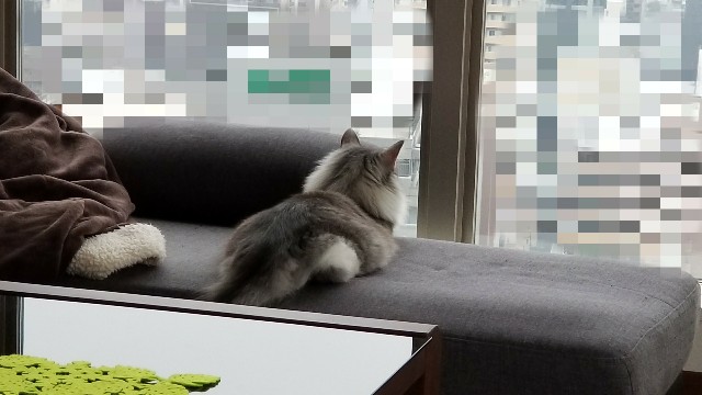 f:id:sachcooky:20171119092830j:plain f:id:sachcooky:20171119092830j:plain