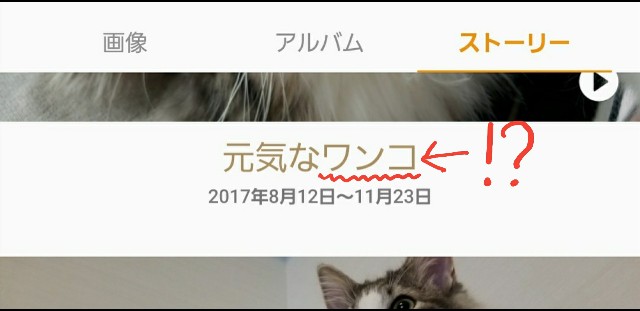 f:id:sachcooky:20171126083619j:plain f:id:sachcooky:20171126083619j:plain