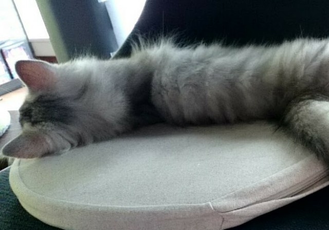 f:id:sachcooky:20171129160533j:plain f:id:sachcooky:20171129160533j:plain