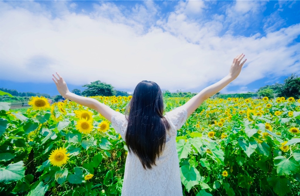 f:id:sachi0987:20230504191833j:image f:id:sachi0987:20230504191833j:image