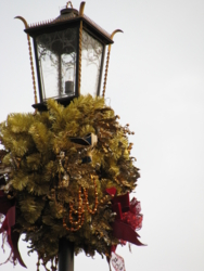 TDS Light