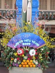 20090101 TDL 角松