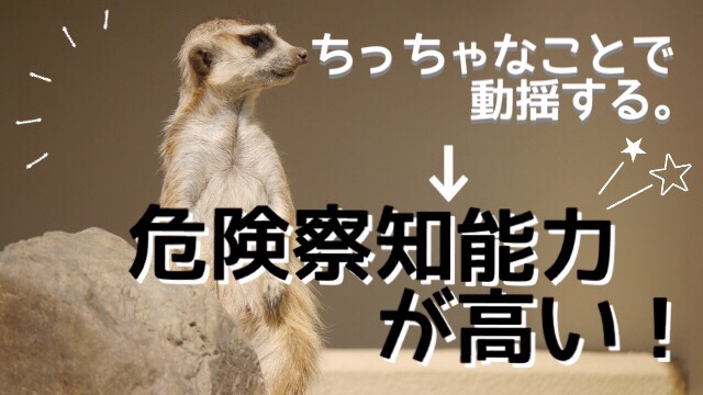 f:id:sachicoco-1107:20180627215541j:plain f:id:sachicoco-1107:20180627215541j:plain